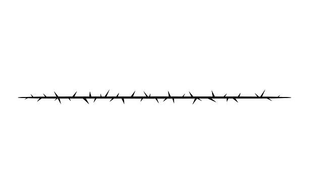 Barbwire, thorny straight black line, vector boundary barb stripe, sharp fence, plant stem with spikes, gothic pattern Barbwire, thorny straight black line vector flat illustration. Prison, boundary barb stripe, war metal silhouette. Sharp fence. Vine plant stem with spikes. Horror and gothic pattern design thorn wreath stock illustrations