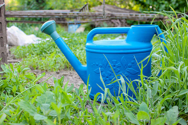 Farm worker gardening tools. Blue plastic watering can for irrigation plants. Gardening hobby agriculture concept.