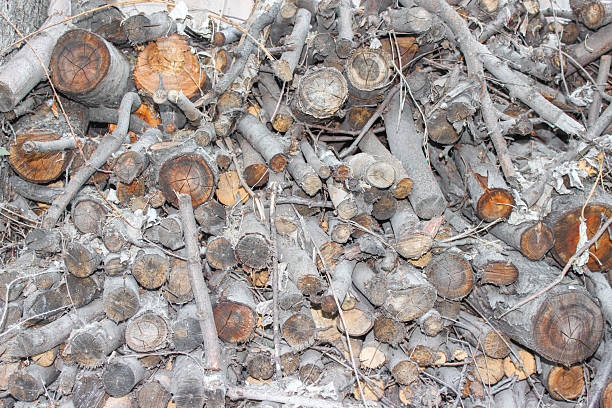 Natural wooden background - closeup of chopped firewood. Firewood stacked and prepared for winter Pile of wood logs. Preparing for the heating season with wood heating.