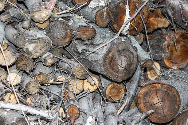 Natural wooden background - closeup of chopped firewood. Firewood stacked and prepared for winter Pile of wood logs. Preparing for the heating season with wood heating.