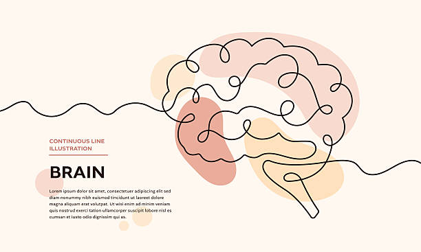 Line Work Brain 1,000+ Continuous Line Brain Stock Photos, Pictures & Royalty-Free ...