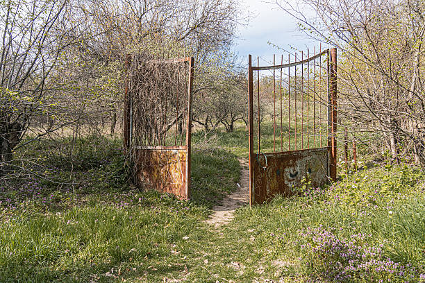 istock Rustic, partly cloudy scene with two gates and a dirt path leading into a wooded area Vegetation grows on the left gate the right one is shorter and rusted Sparse grasses and small purple flowers 2212457461