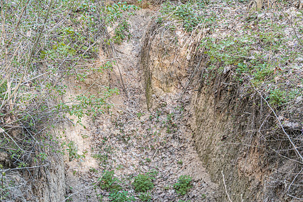 istock Natural landscape with earth and rock formations, erosion gully, layers of soil, sparse vegetation small plants, grass, moss, rugged terrain dirt, rocks, daylight outdoor setting, earth tones br 2212458257