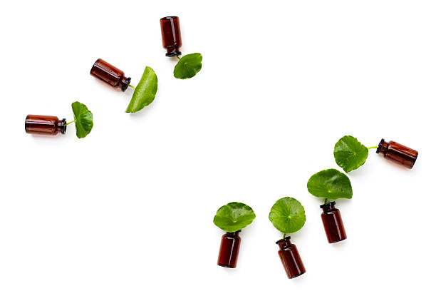 istock Fresh centella asiatica leaves with essential oil bottles 2212458344