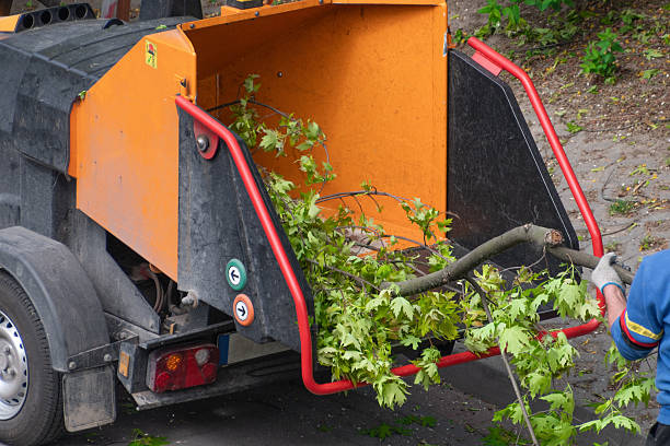 istock A wood chipper machine shredding tree branches into smaller pieces for easier disposal. 2212460351