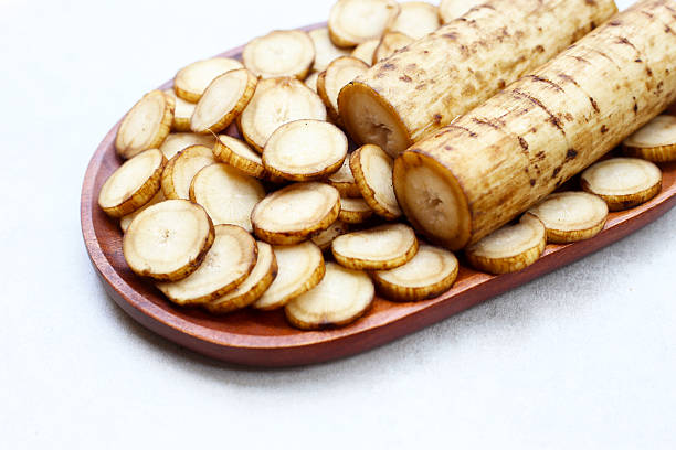 istock Fresh burdock roots or gobo roots 2212462922
