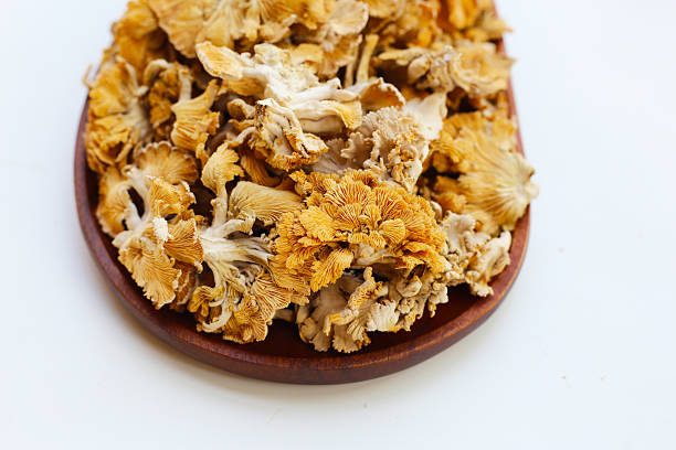 istock Splitgill mushroom or schizophyllum commune mushroom 2212463805