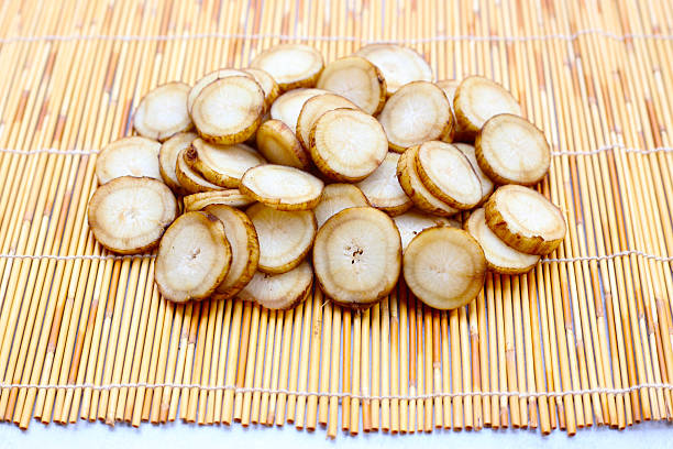istock Fresh burdock roots or gobo roots 2212464168