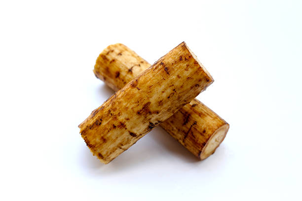 istock Fresh burdock roots or gobo roots 2212464682