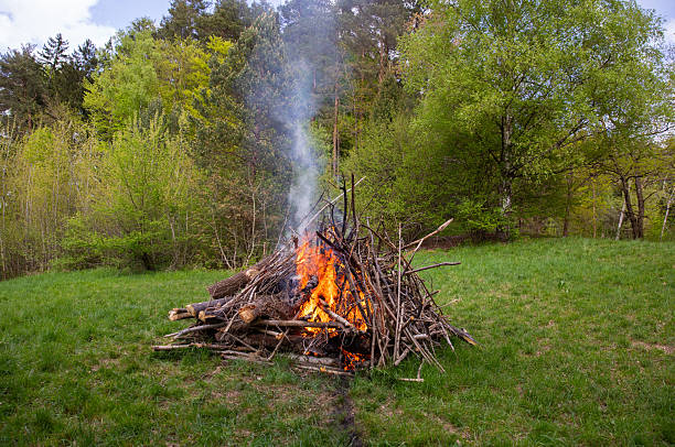 istock Campfire burning brightly in a natural setting, surrounded by lush green grass and trees, creating a warm and inviting atmosphere for outdoor gatherings and relaxation in nature's beauty 2212465652