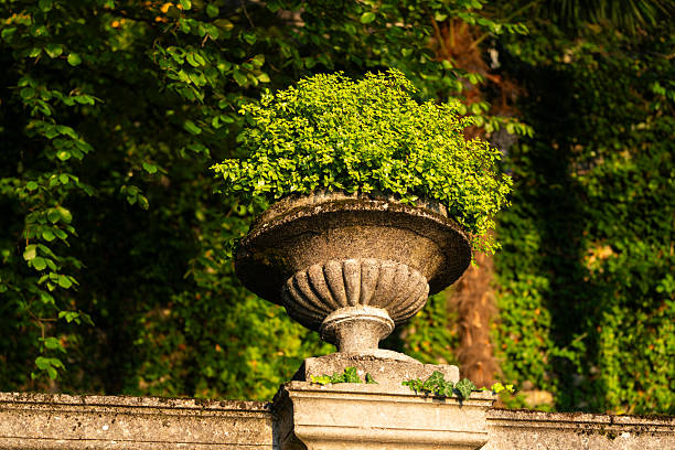 istock Ornate Stone Planter with Lush Greenery in a Garden Setting 2212466623