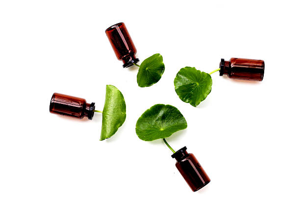 istock Fresh centella asiatica leaves with essential oil bottles 2212469078
