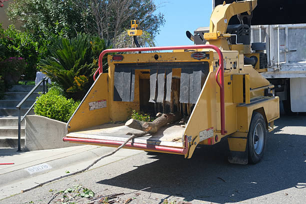 istock Wood Chipper in Use in Residential Area 2212471614