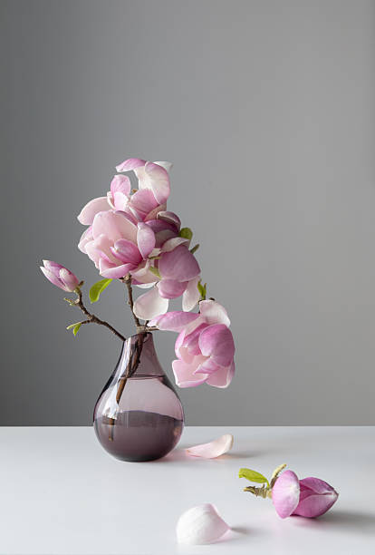 istock magnolia wreath in glass vase on wall background 2212474894