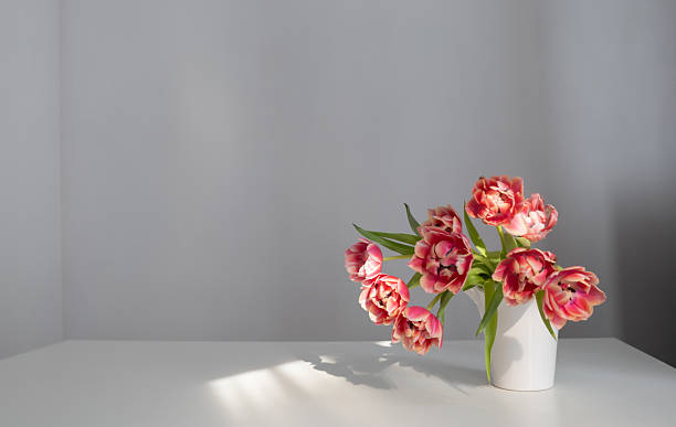 istock beautiful tulips in vase on gray background 2212474899