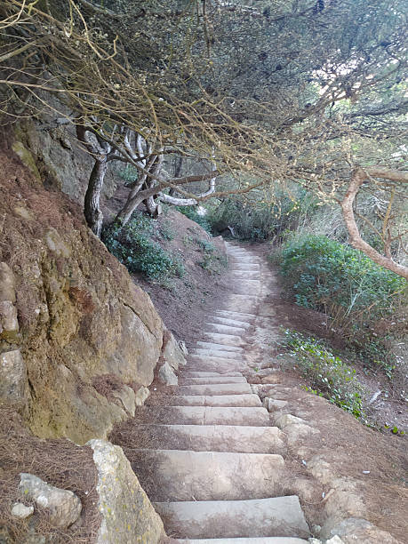 istock Stone steps ascend through woodland, framed by trees. Represents journeys, challenge, progress. Ideal for wellness, travel,  motivational content. 2212475158
