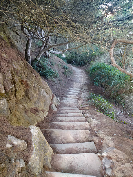 istock Stone steps climb a gentle hillside, inviting exploration  symbolizing journeys. Serene, natural setting. Great for travel, inspiration,  personal growth themes. 2212475159