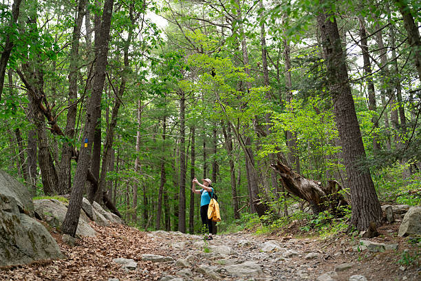 Woman hiking alone in New York upstate in Springtime, wearing a yellow raincoat and enjoying nature