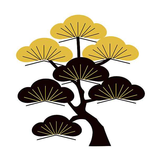 Japanese pine tree design vector flat illustration Japanese pine tree design vector flat illustration bonsai tree stock illustrations