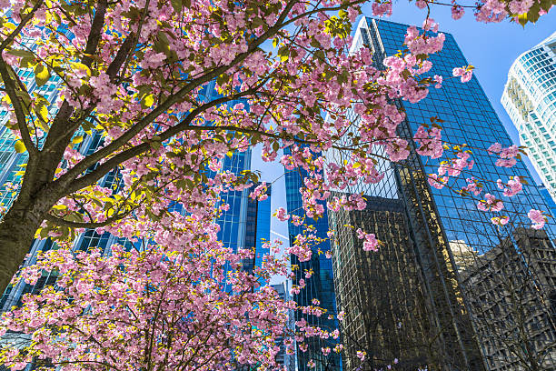 Modern buildings located in downtown Vancouver, British Columbia in Springtime.