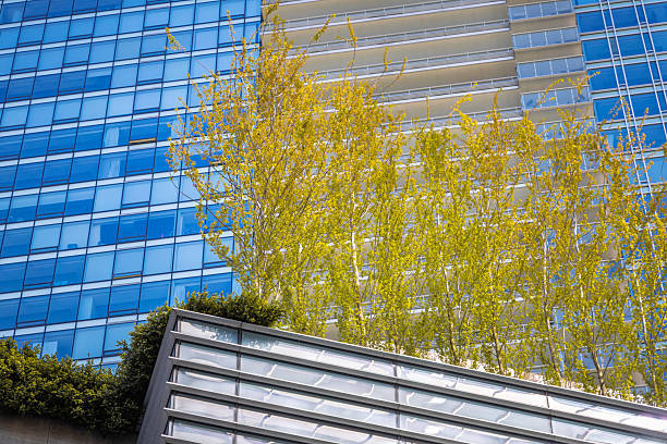 Modern buildings located in downtown Vancouver, British Columbia with a touch of greenspace.