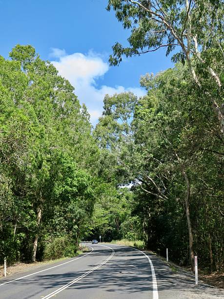 istock Road Trip in Far North Queensland 2212492875