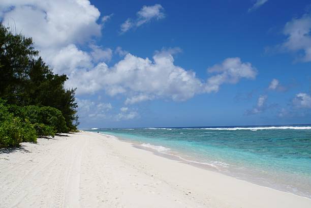 istock Landscape of Ritidian Beach 2212495323