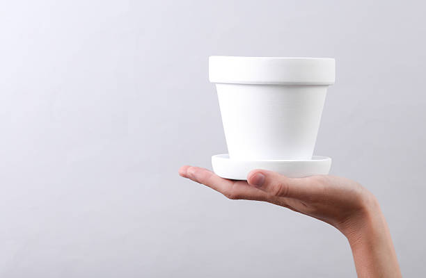 Hand holding white clay flower pot on grey background