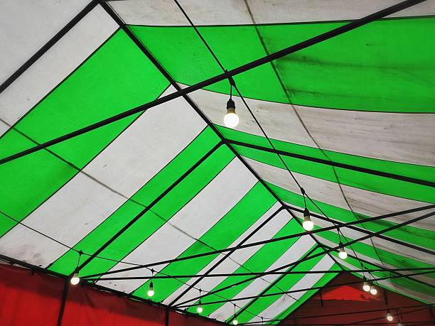 A tent in the meddle of pine tree in the forest, night view, outdoor, lifestyle concept.