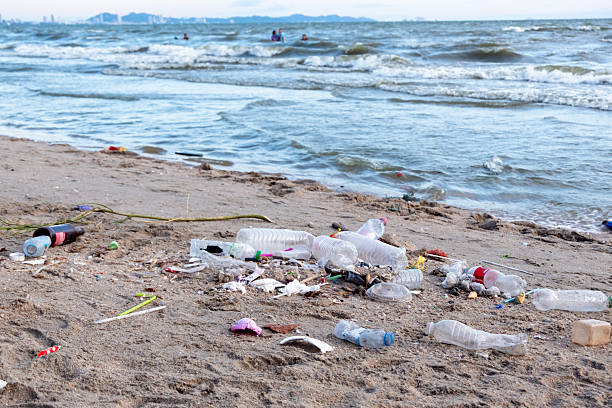 istock Dirty sea sandy shore ,Environmental pollution,Plastic water bottles pollution in ocean (Marine debris) 2212504561