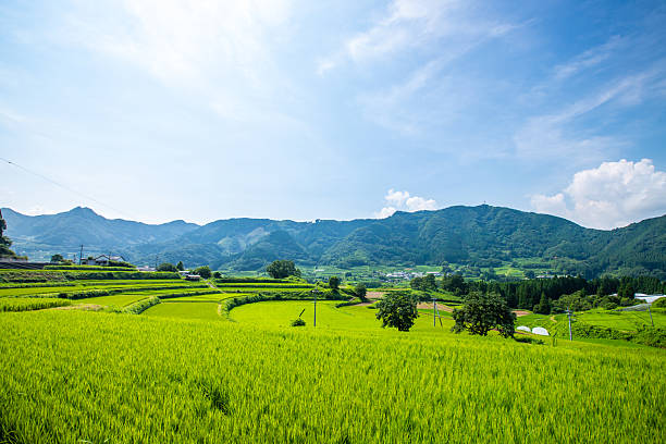 istock Rice terraces in Takachiho Town, Miyazaki Prefecture 2212504733