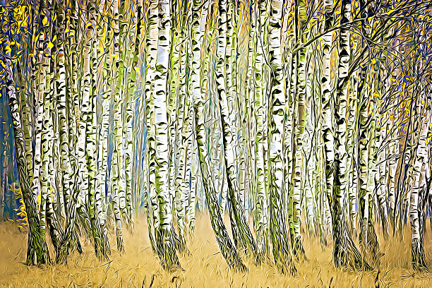 Lush, self-seeded birch woodland. This is one of Denmark’s wildest forests, having only been minimally used for industrial forestry. It was grown from seeds carried across the Øresund by wind from Sweden. The photo was taken at Kalvebod Fælled, a former seabed that has become a large public nature area located just 20 minutes from Copenhagen’s City Hall Square.