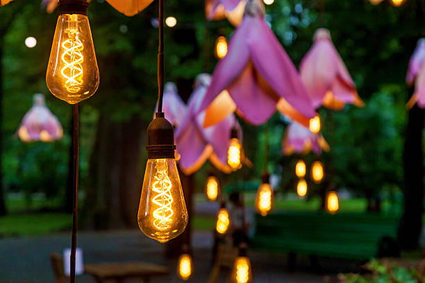 istock Glowing vintage bulbs and flower lights in evening park 2212508320