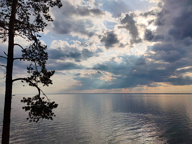 Serene landscape with a lone tree silhouette by a calm lake, dramatic clouds and sunlight beams breaking through during sunset