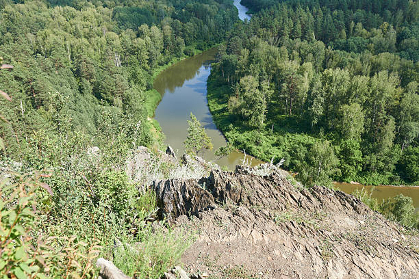 River in the forest. View of the river from a height.