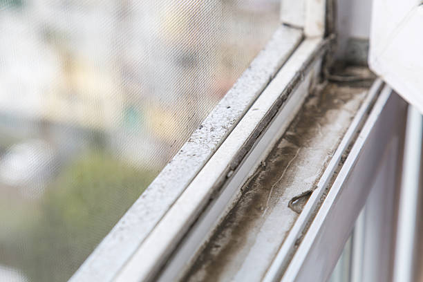 istock Heavily dust-covered plastic window frame and sill with dirt buildup and stains, visible through mesh screen with blurred urban view, concept of home hygiene 2212512753