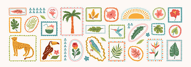 Hand drawn tropical summer elements in shape mosaic. Exotic geometric pattern. Jungle nature sticker frame set. Leopard, palm tree, toucan, flowers, hibiscus, parrot, leaves, plumeria.