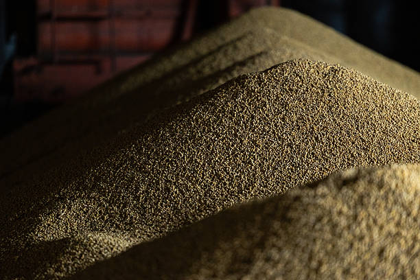 istock Piles of soybean grains drying at mill storage or grain elevator. The main commodity group in the food markets. Somewhere in Lviv region in west of Ukraine. 2212517975