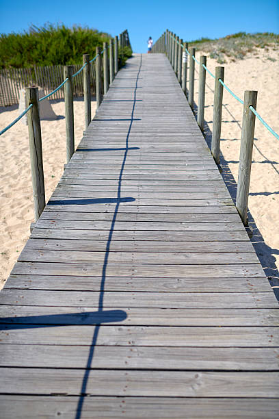 Footpath through a dune of the dutch coast