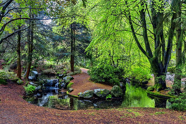 A beautiful spring day, a city park, a small stream with a tiny waterfall under overhanging tree branches, reflection of trees in the water