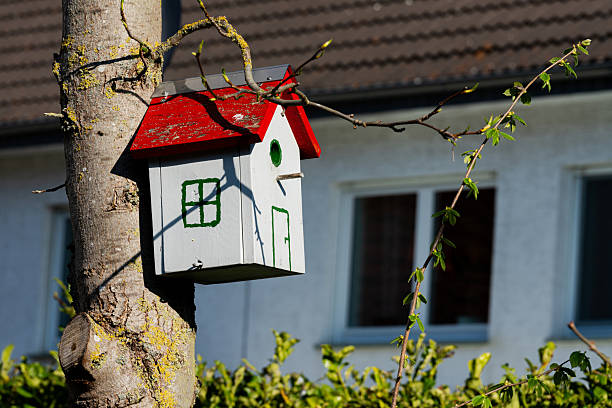 Colorful birdhouse on a tree near a house during daylight