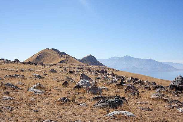 Salt lake and grassy hillside, Antelope Island State Park, Utah