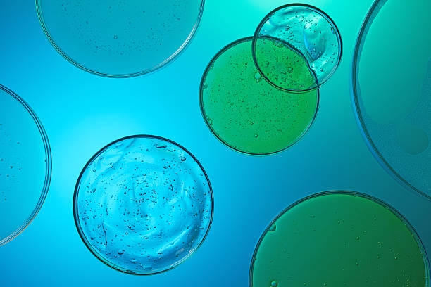 istock scientific experiment of molecular structure of essence 2212526849