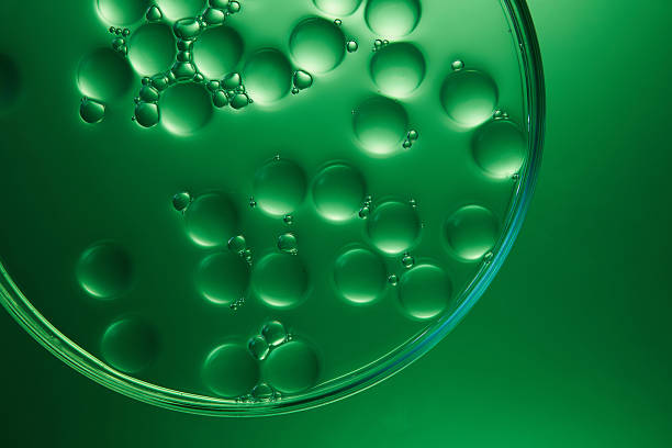 istock scientific experiment of molecular structure of essence 2212526889