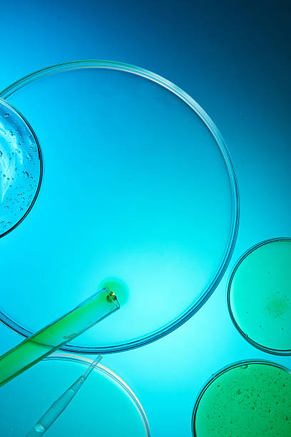 istock scientific experiment of molecular structure of essence 2212527157