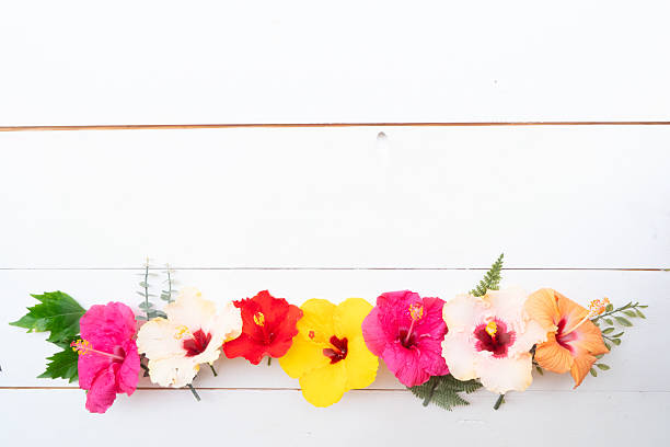 istock Tropical flowers and leaves, summer vacational background 2212527384