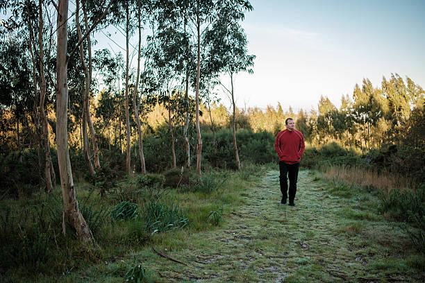 Man enjoying a peaceful walk in nature, surrounded by eucalyptus trees on a sunny morning