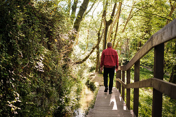 istock Man walking on path alongside stream in lush green forest 2212534295