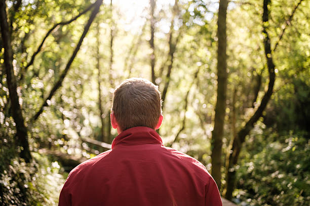 istock Hiker looking at sunlight through trees in a forest 2212534415