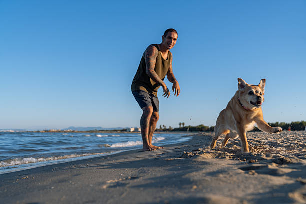istock Young man is playing with his dog on the beach 2212536593